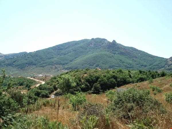 روستای داماش