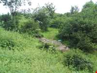 روستای داماش