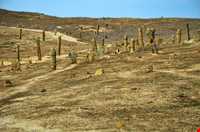 مجموعه زیارتگاه و گورستان خالد نبی