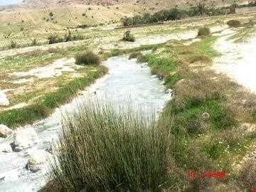 چشمه آب معدنی گراب