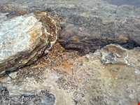 چشمه آب معدنی گراب