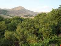 دره گزندر و سرابی