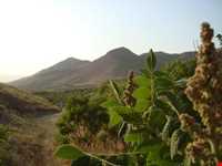 دره گزندر و سرابی