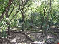 دره گزندر و سرابی