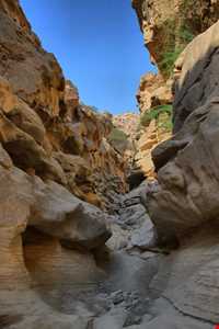 تنگه عالی محمد