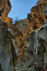 تنگه عالی محمد