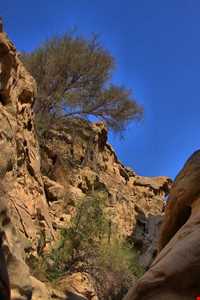 تنگه عالی محمد