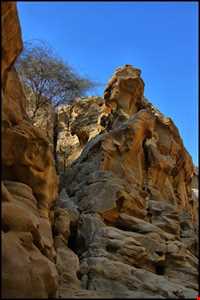 تنگه عالی محمد