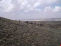 روستای آلان سفلی