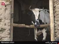 روستای ورکانه