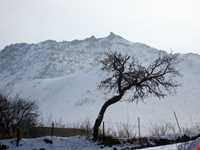 امامزاده کوه(امامزاده محسن)