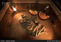 موزه هگمتانه