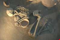 موزه هگمتانه