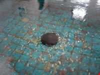 چشمه سلیمانیه