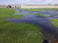 روستای بهادربیگ