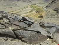 پناهگاه حیات وحش موته