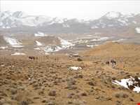 غار بابا جابر