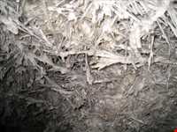 غار بابا جابر