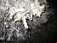 غار بابا جابر