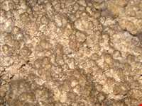 غار بابا جابر