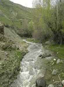 زنجان رود ( زنجان چای )