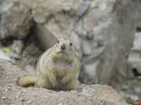 Zanjan River ( Zanjan Rood - Zanjan Chay )