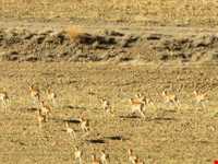 کوه گرمه ، کوه سرده