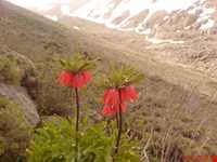 روستای فاماسب