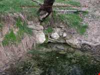 چشمه آبگرم ایستی بلاغ یا ایستی بلاخ