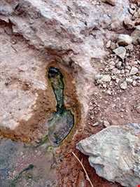 چشمه آب معدنی گشایش