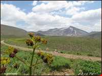 منطقه حفاظت شده صوفی چای