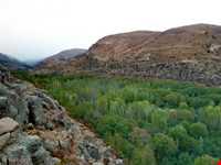 منطقه حفاظت شده صوفی چای