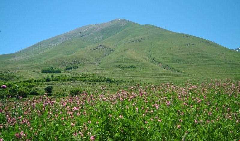 Kiyamaki wildlife refuge