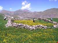 Kiyamaki wildlife refuge