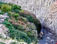 Kiyamaki wildlife refuge