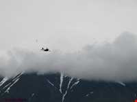 Kiyamaki wildlife refuge