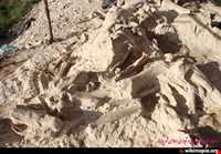 Maragheh fossilized region