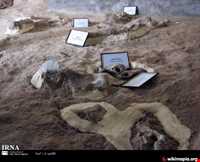 Maragheh fossilized region