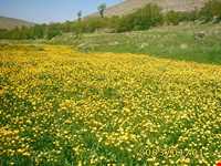 Sahand perotcted area