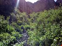 Kaghaz Kenan protected area