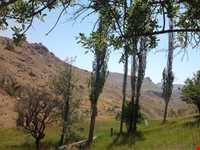 Kaghaz Kenan protected area