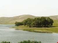 منطقه حفاظت شده قوری گل