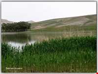 منطقه حفاظت شده قوری گل