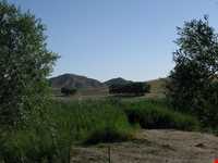 منطقه حفاظت شده قوری گل