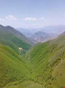 منطقه حفاظت شده دیزمار