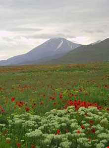 پارک ملی کنتال