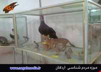 موزه مردم شناسی اردکان