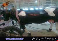 موزه مردم شناسی اردکان