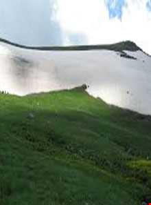 منطقه حفاظت شده یاری قاری