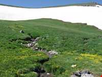 Yari Ghari Protected Area